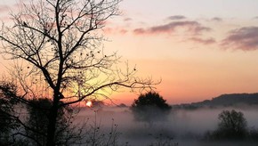 Natur