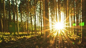 Natur