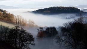 Natur