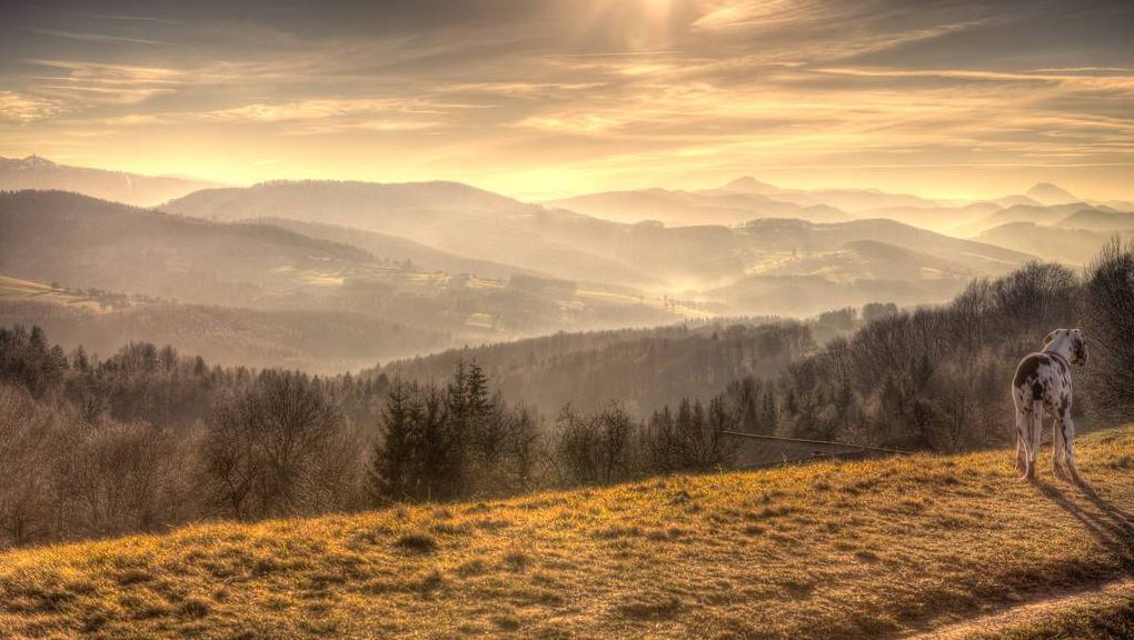 Natur