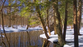 Natur