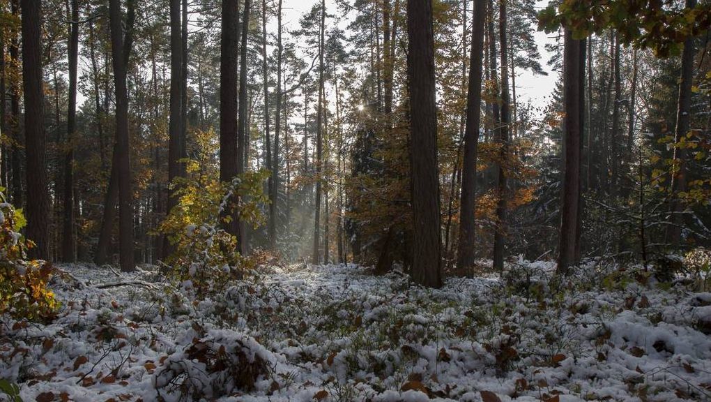 Natur