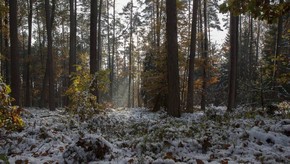 Natur