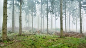 Natur