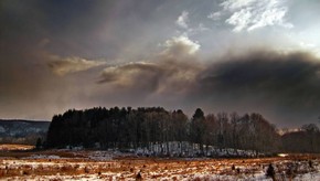 Natur