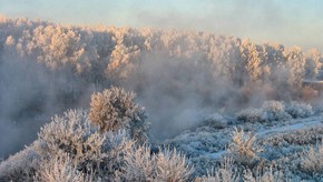 Natur