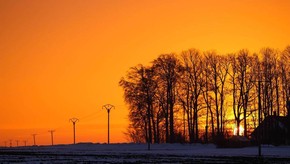Natur
