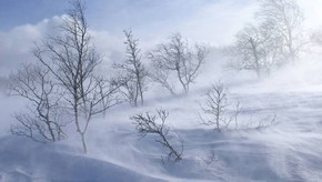 Natur