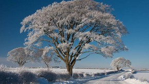 Natur