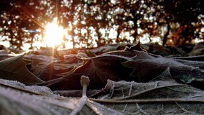 Natur
