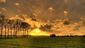Natur