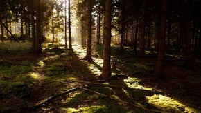 Natur