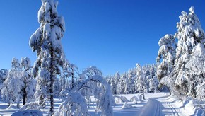 Natur