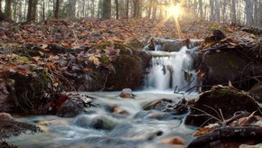 Natur