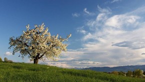 Natur