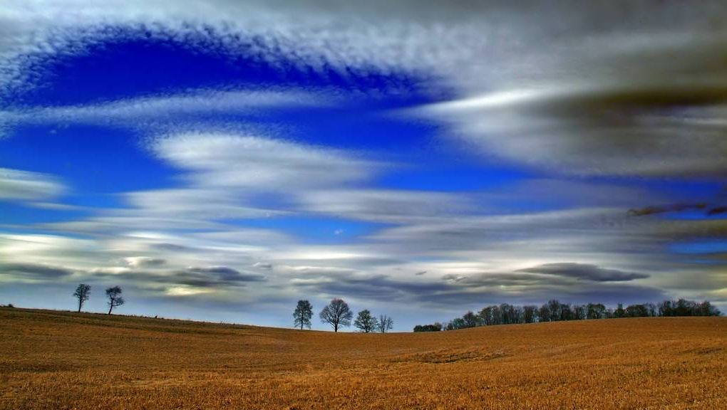 Natur