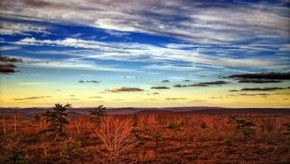 Natur