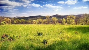 Natur