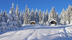 Natur