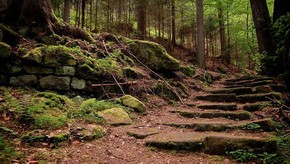 Natur