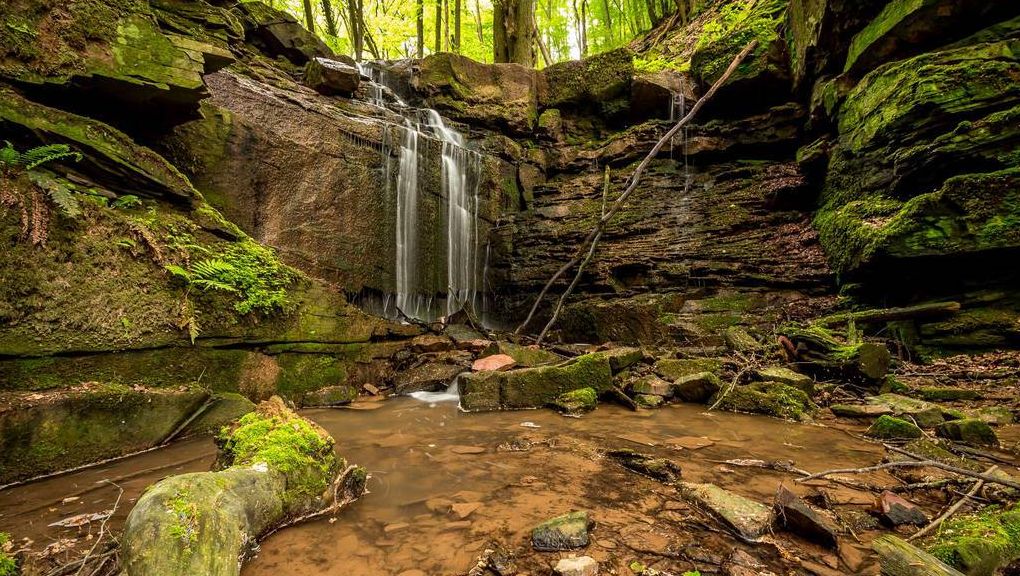 Natur