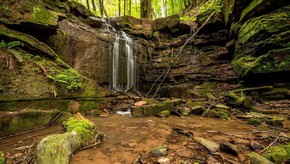Natur