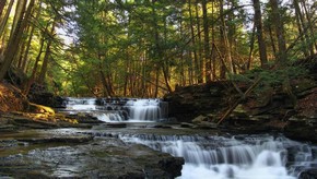 Natur