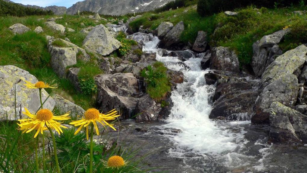 Natur