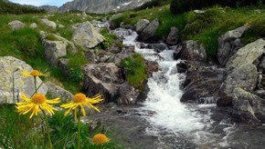 Natur