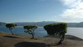 Natur