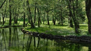 Natur