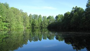 Natur
