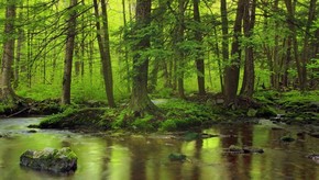 Natur